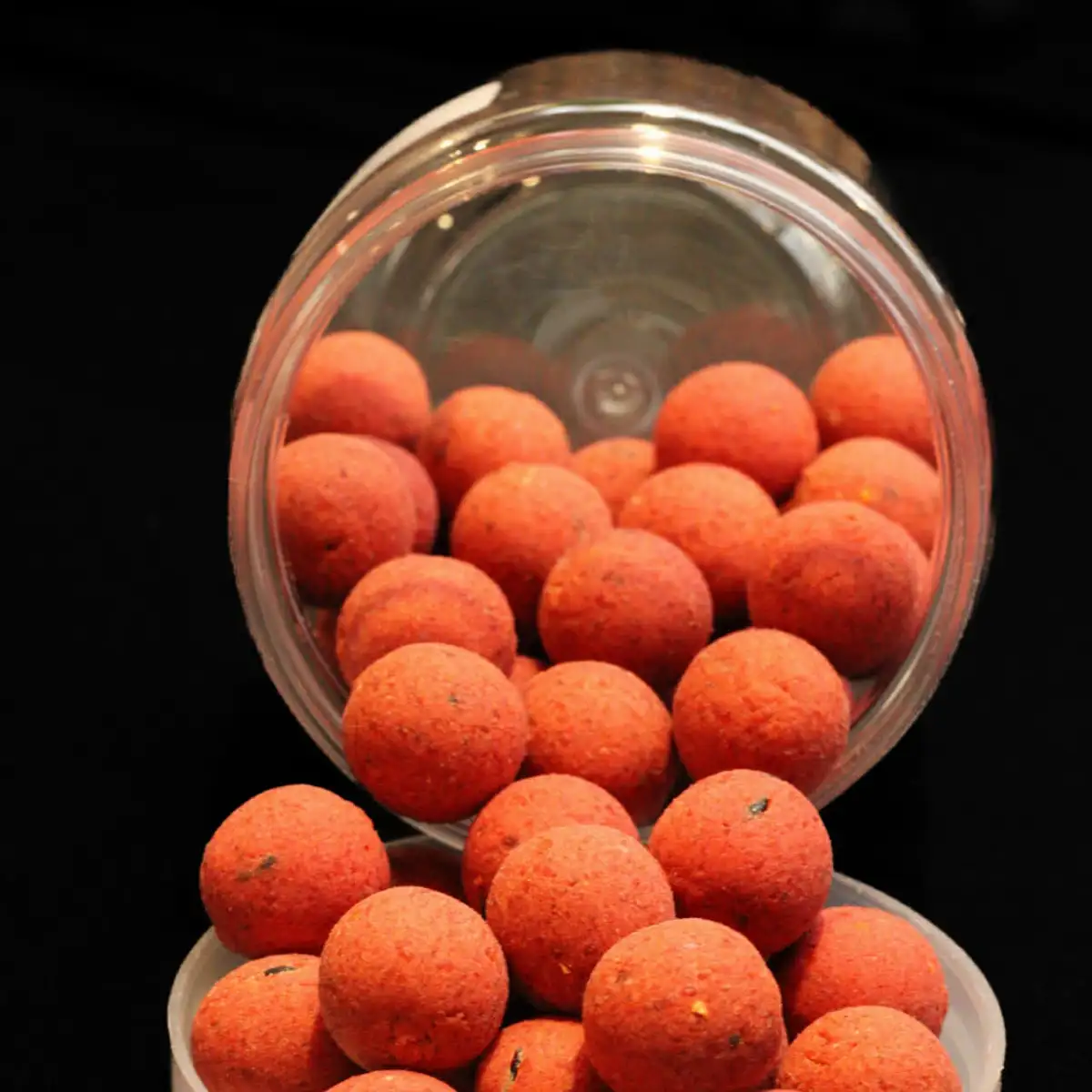 Équilibrée Robin Red Vers de vase