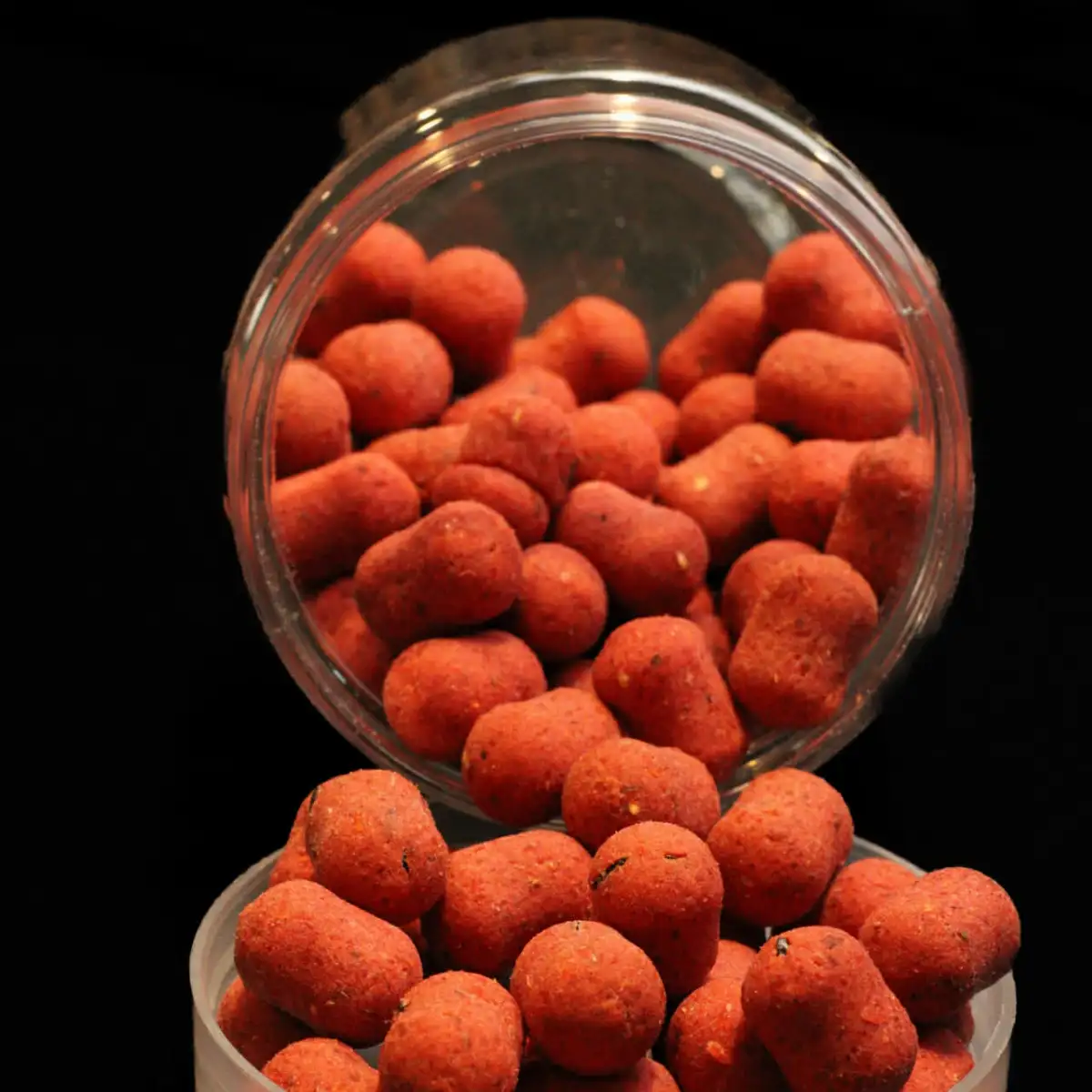 Équilibrée Robin Red Vers de vase